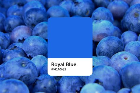 Colors That Go with Royal Blue (15 Options) - Archute