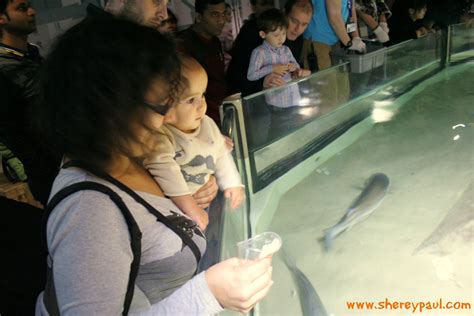 London with kids: Sea life Aquarium | Shere y Paul