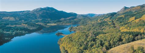 The Great Trossachs Forest National Nature Reserve - Here. Now. All of ...