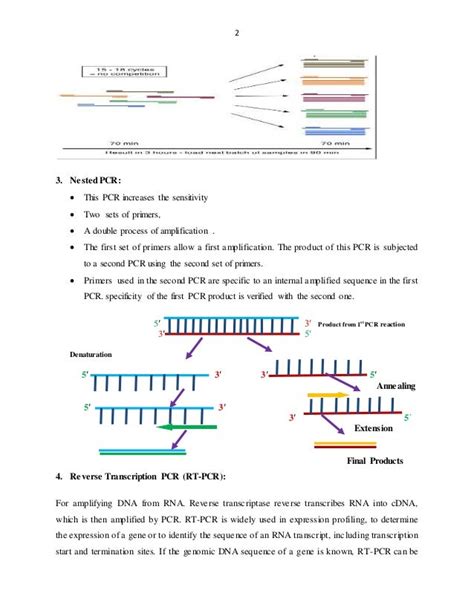 Types of PCR