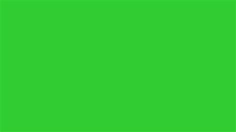 Lime Green Background (47+ images)