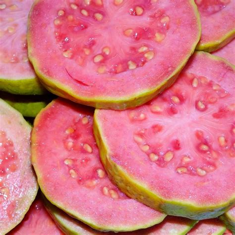 Are Guava Seeds Edible ? Here's What We Know - Foodiosity