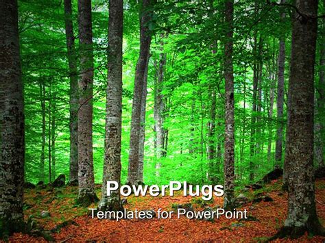 Powerpoint Template Free Forest