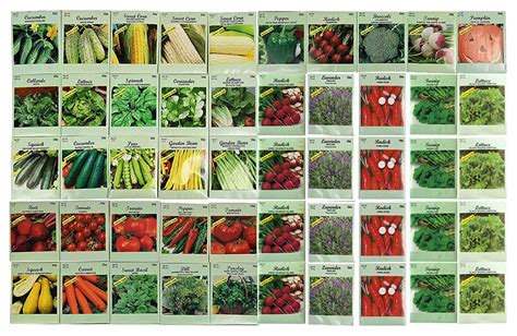 50 Packs Assorted Heirloom Vegetable Seeds 30+ Varieties All Seeds are ...