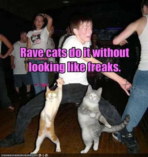 Rave cats do it without looking like freaks. | Cat memes, Dancing cat ...