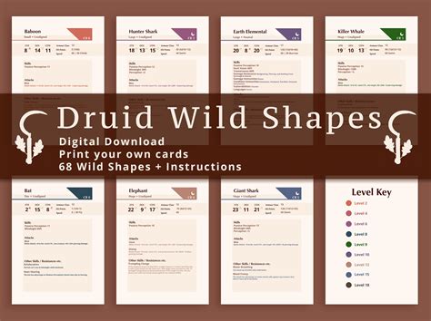 Dnd 5E Druid Wild Shape Cards at Julie Rothrock blog