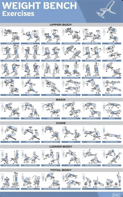 Weight bench workout poster | Bench workout, Gym workout chart, Workout ...