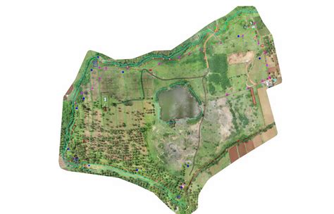 Everything You Need To Know About Topographic Surveys - RVS Land Surveyors