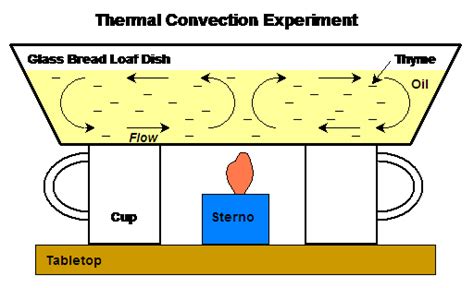 Convection Current Experiment Pdf - TobygroWatts