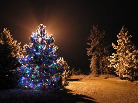 Christmas Lights Outdoor For Trees 2023 Latest Ultimate The Best Review ...