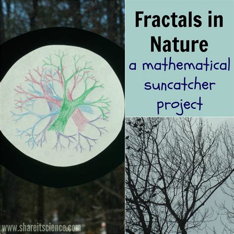 Share it! Science : Fractals in Nature: A Mathematical Suncatcher Project