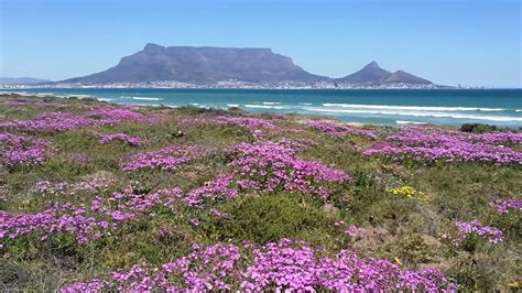 The Most Beautiful Video of Sunset Beach, Cape Town, Today! - SAPeople ...