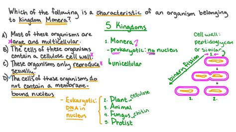 Question Video: Recalling Characteristics of Kingdom Monera | Nagwa