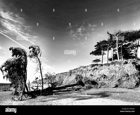 Effects of coastal erosion Stock Photo - Alamy