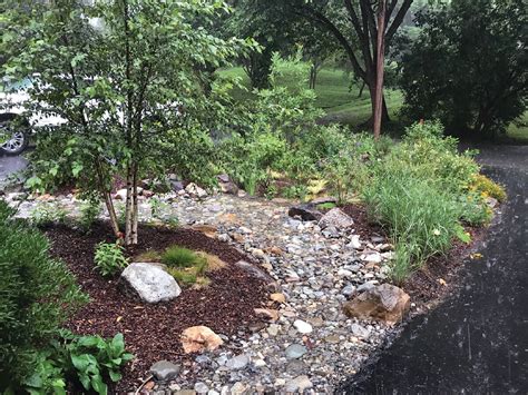 Everything You Need to Know About Building a Rain Garden