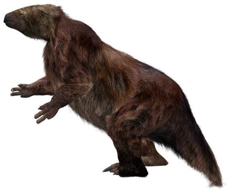 Giant sloth | Fossil Wiki | Fandom