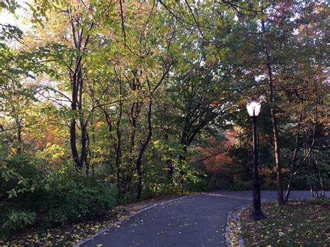 Autumn in Central Park, NYC (PHOTOS)