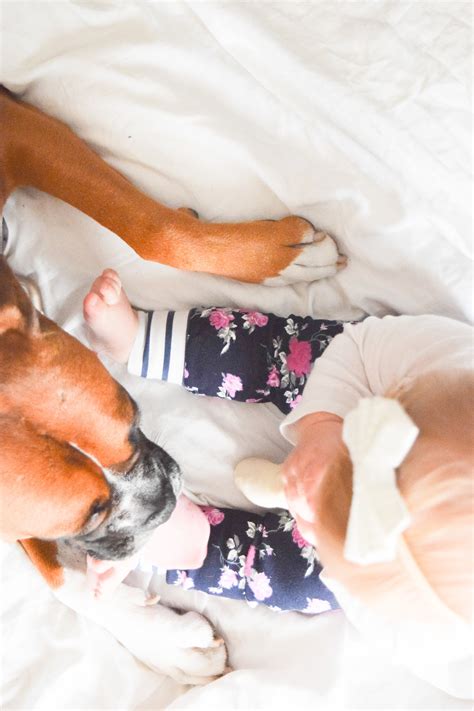 Just A Baby + Her Boxer — The Overwhelmed Mommy Blog