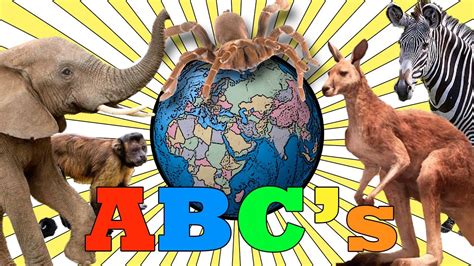 Animal Alphabet Abc Song