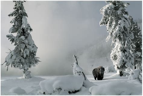 Snow Day | Nat Geo Photo of the Day