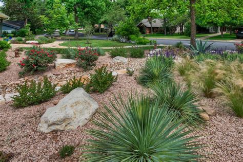 Xeriscape Design Ideas | HGTV