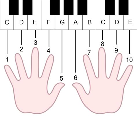 How Playing The Piano Taught Me Math | by Xiaoyun Yang | Medium