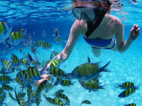 Snorkeling in Sosua Beach - Sosua Beach Dominican Republic