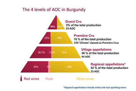 Grand Cru Wine: Classification by Region, 8 Best Bottles (2021)