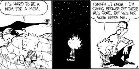 Every Time Calvin & Hobbes Broke Our Hearts