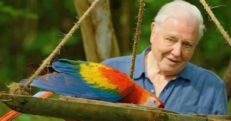 David Attenborough's Life in Colour: Interview With Stephen Dunleavy