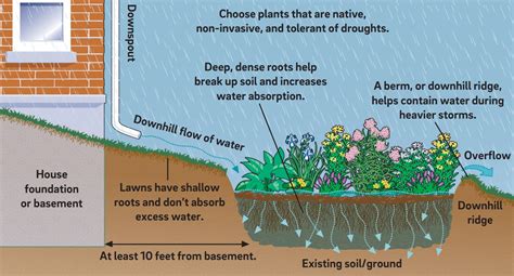 Rain Gardens – Green Stormwater Infrastructure