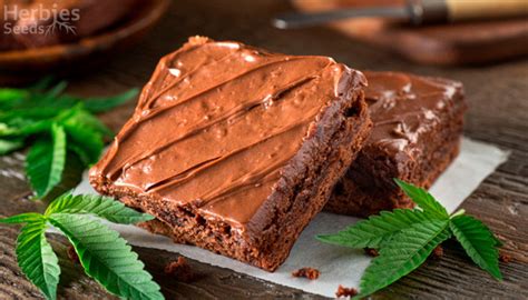 How To Make Weed Brownies: A Simple Recipe For The Legendary Chocolate ...