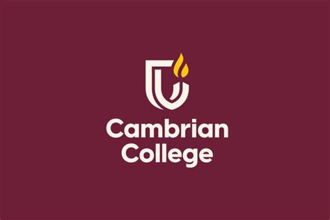 Cambrian College wins award for new brand identity and logo - Sudbury News