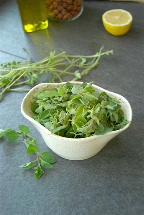 Fresh-Oregano-for-Pesto