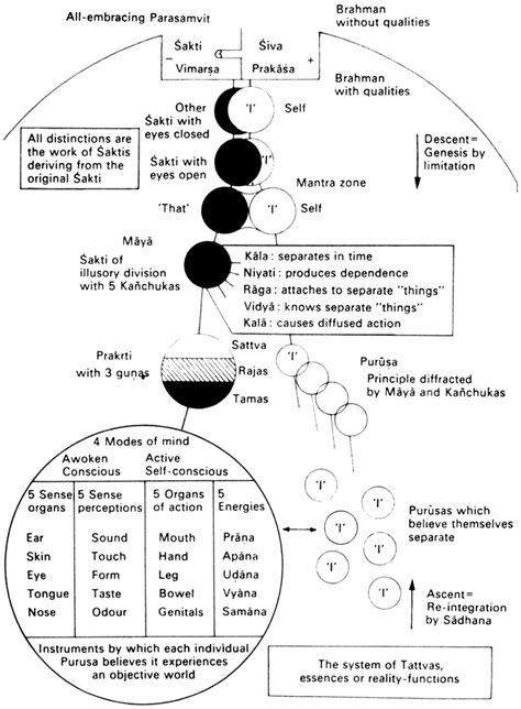 Sankhya Philosophy