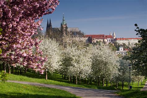 Prague Worldschooling: Spring..or is it summer now in Prague?