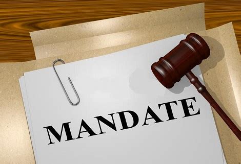 Mandate – NITDA