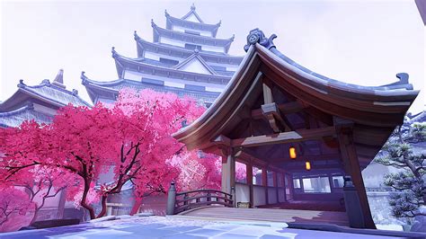 Cherry Blossom, Chinese Cherry Blossom HD wallpaper | Pxfuel