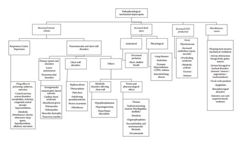 Pathophysiological mechanisms hypercapnia. Source: self-made ...