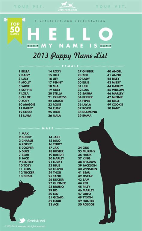 Bella, Max top list of the most popular puppy names of 2013 | 89.3 KPCC