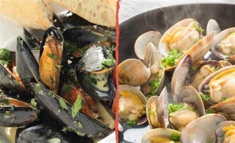 What Do Mussels Taste Like? Slimly, Fishy or Gummy - KitchenVile