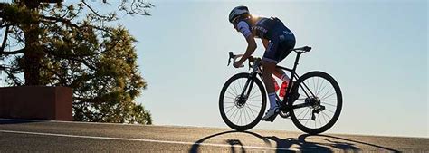 Trek Bikes Brand Review: A Close Look at Trek's Model Lineup