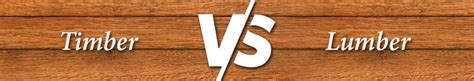 Top 5 Difference Between The Timber And Lumber - A Comparative Guide