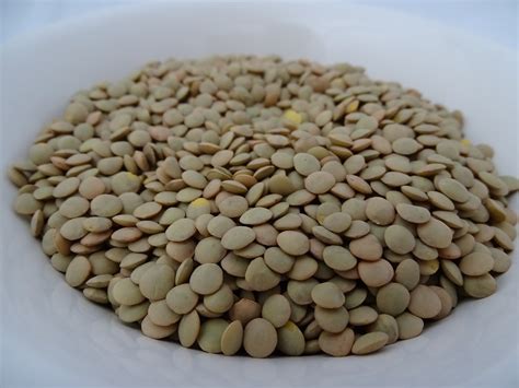 Health Benefits of Lentil - Properties & Uses