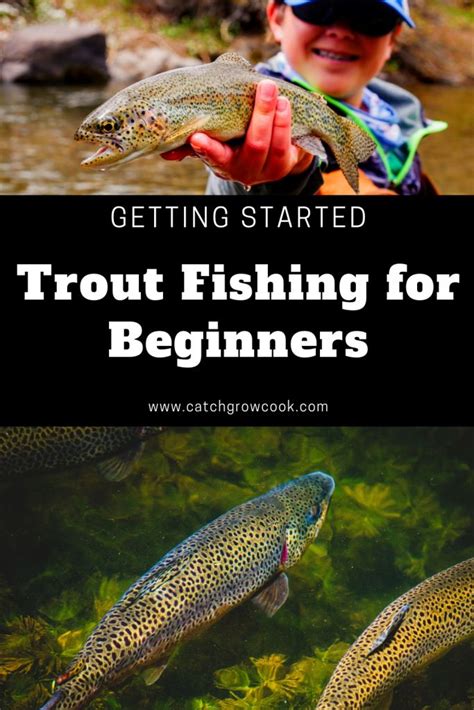 Trout Fishing For Beginners: Tips And How To Get Set Up | Fishing for ...