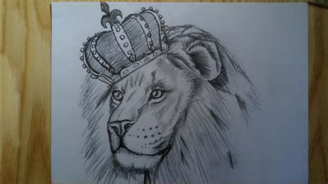 Cool Lion Drawings