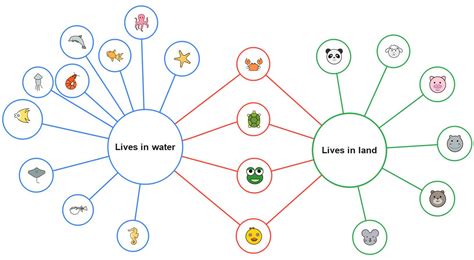 Double Bubble Map Template & Examples | EdrawMind