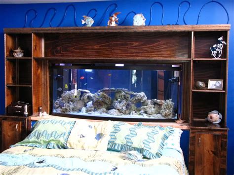 Image detail for -Here's a pic of my Headboard fish tank | Fish tank ...