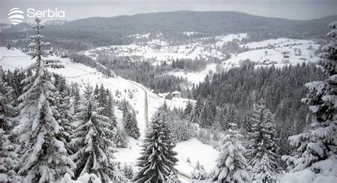 Zlatar Mountain - Serbia-touroperator