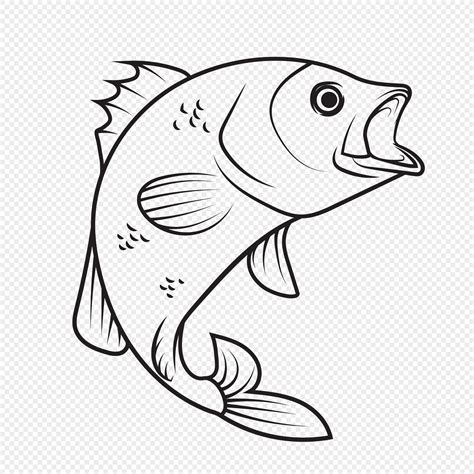 Line Drawing Of Fish